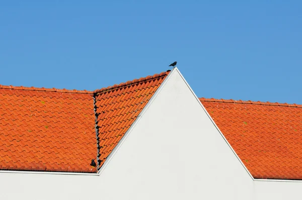 stock image Tile roof