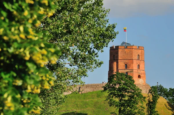 Vilnius, Torre di Gediminas — Foto Stock