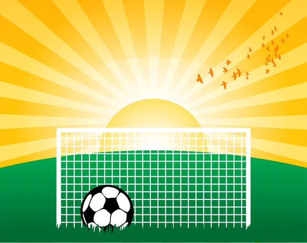 Fotboll på gräs — Stock vektor
