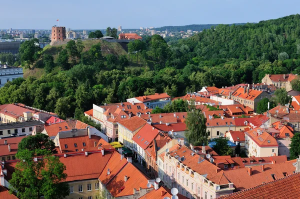 Vilnius, yaz — Stok fotoğraf
