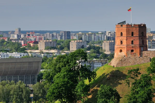 stock image Tower of Gediminas, Vilnius