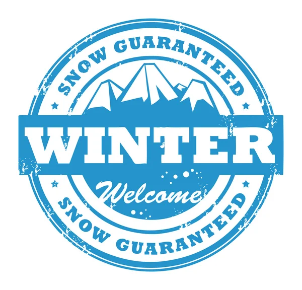 Snow guaranteed stamp — Stock Vector