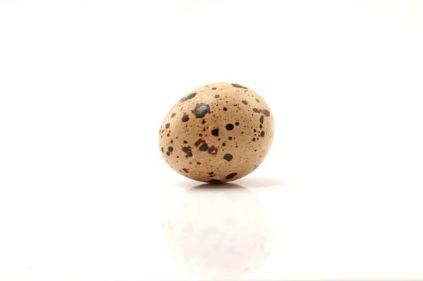 Перепелиные яйца — стоковое фото