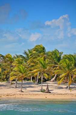 Beautiful tropical beach Costa Mya - landscape clipart