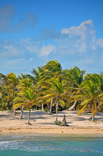 Красивый тропический пляж Costa Mya - пейзаж — стоковое фото