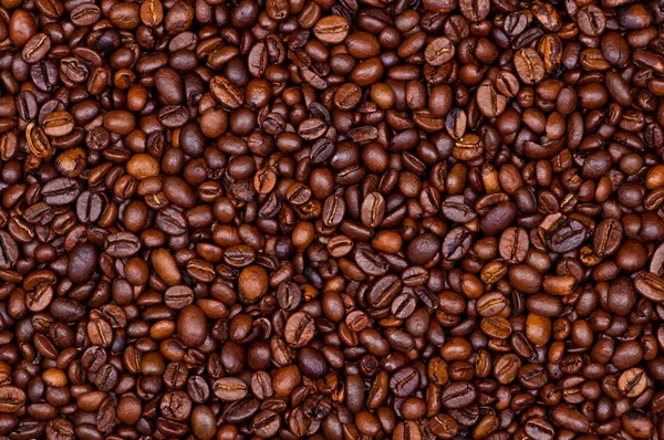 Koffiebonen — Stockfoto