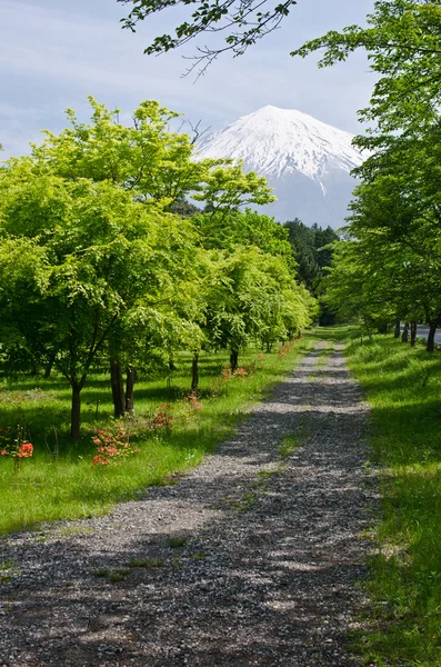 stock image Fuji Path