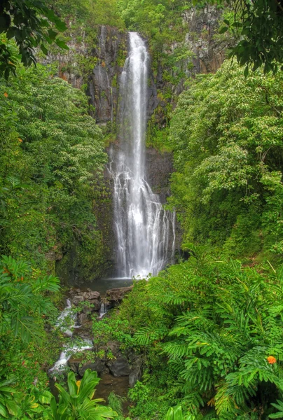 Wailua falls (maui, Hawai) - hdr — Foto de Stock