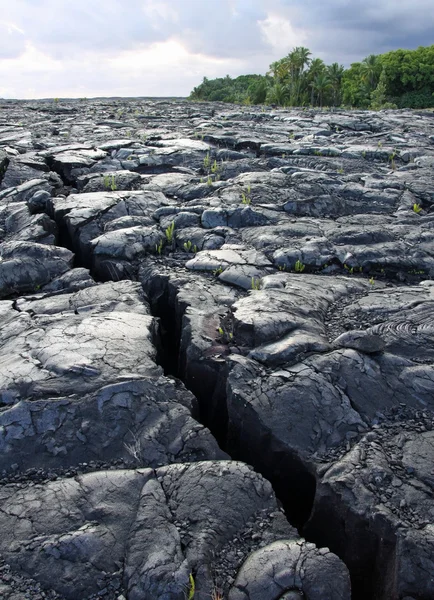 Crack in the lava field at Big Island (Hawaii) — Stock Photo, Image