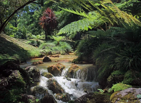 Creek in tropische landschap (sao miguel, Azoren) 02 — Stockfoto