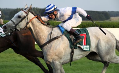 Jockey with horse during a race clipart