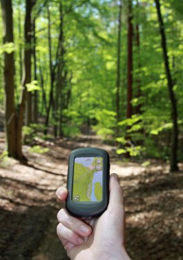 Outdoor navigation in the forest clipart