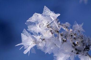 Details of ice crystals in the sun (Close-up) clipart