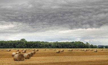 Bales of straw (HDR) clipart