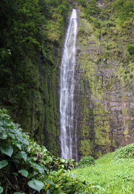 Waimoku Falls (Maui, Hawaii) clipart