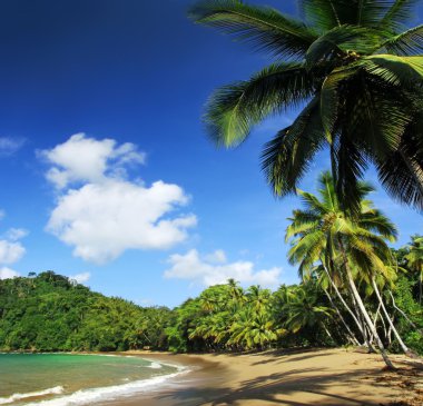 Beach of the Englishman Bay (Tobago) 2 clipart