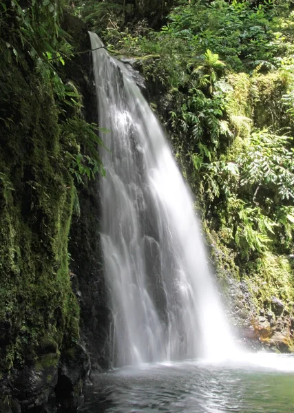 Wasserfall bei sao miguel (Azoren-Inseln)) — Stockfoto