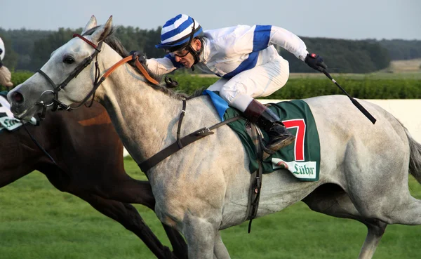 Жокей с лошадью во время гонки — стоковое фото