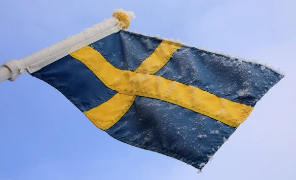 瑞典国旗插在冬季 — 图库照片