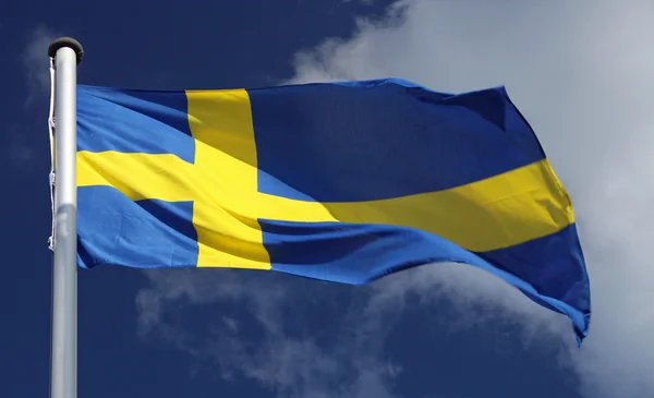 Stock image Swedish Flag in the sunlight