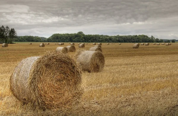Bales of straw (HDR) 02 — Stock Photo, Image
