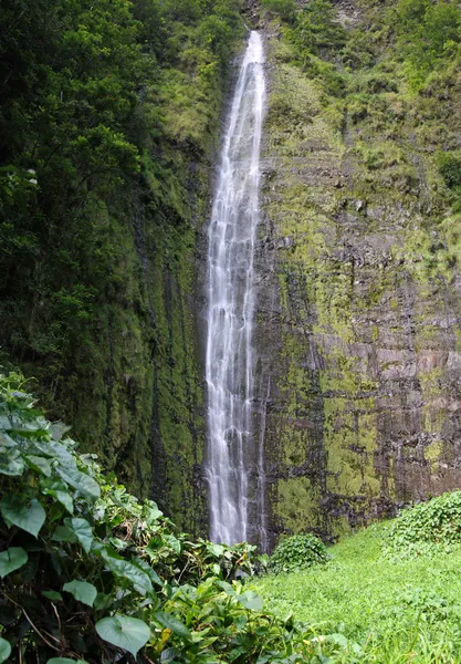 Waimoku Falls (Maui, Hawaii) — Stock Photo, Image