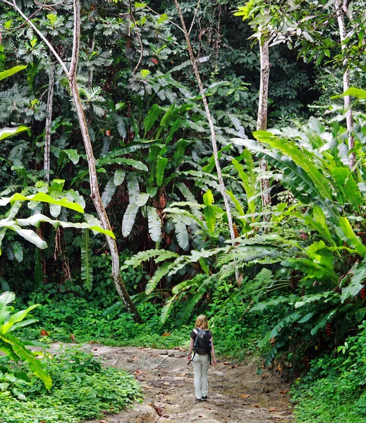 Unga kvinnor på en djungel spår — Stockfoto