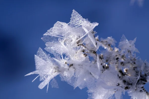 Dettagli dei cristalli di ghiaccio al sole (primo piano ) Fotografia Stock