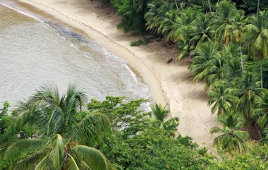 Beach of the Englishman Bay (Tobago) 2 clipart