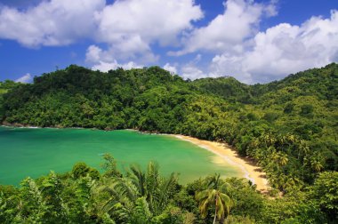 Overview of the Englishman Bay (Tobago) clipart