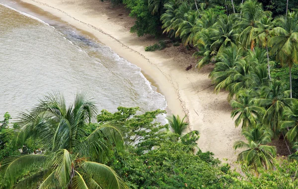 Strand van de baai van de Engelsman (Tobago) 2 — Stockfoto