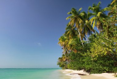 Pigeon Point (Tobago, West Indies) with copy space clipart