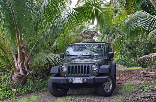 Offroad içinde yakınındaki hana (maui, hawaii)