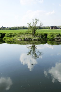 River Avon