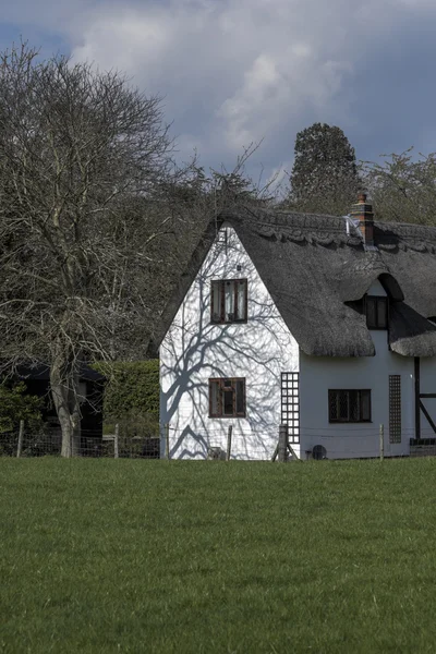 Rieten cottage — Stockfoto