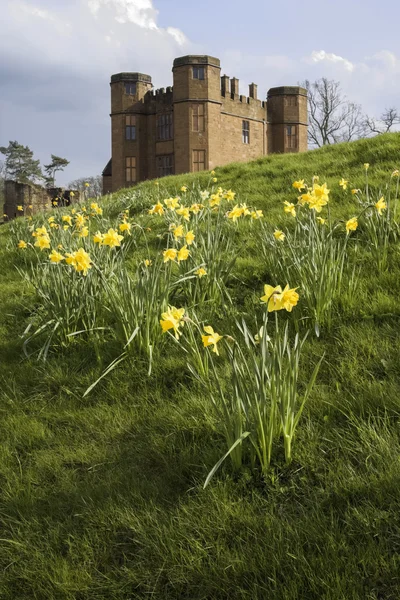 Zamek Kenilworth — Zdjęcie stockowe