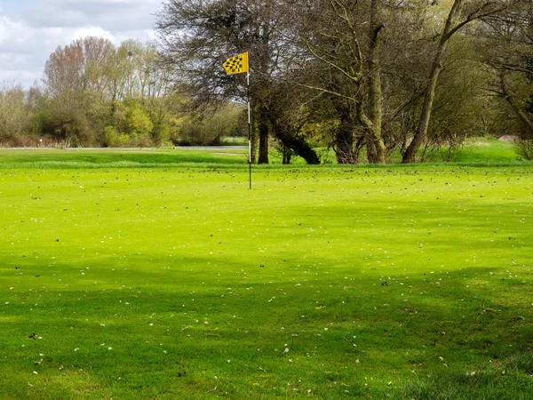 Golf course Stock Picture