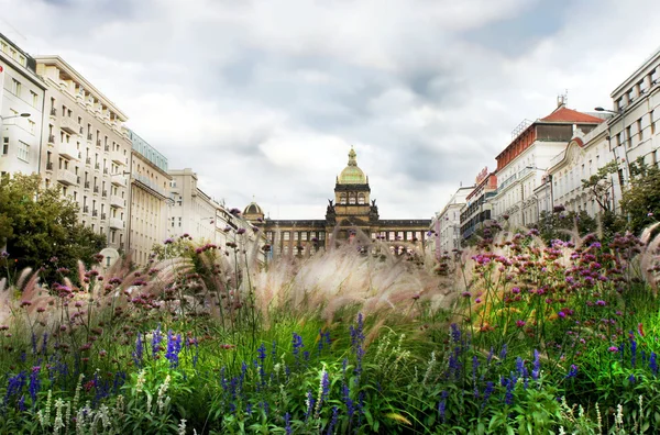 在夏天，布拉格瓦茨拉夫广场 — 图库照片