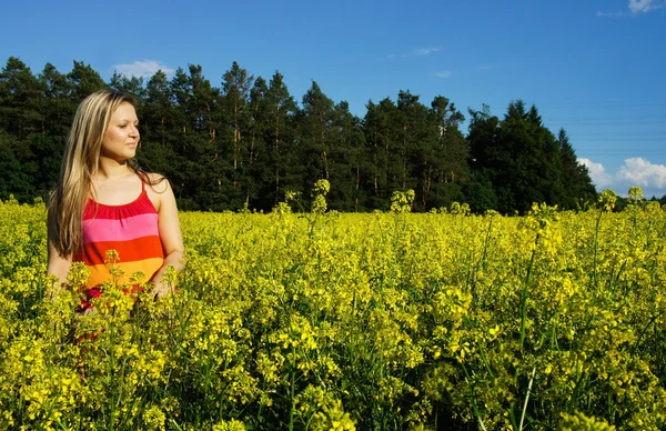 stock image Young beautiful woman in the yellow field