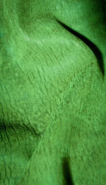 Yeşil ağaç doku arka plan — Stok fotoğraf