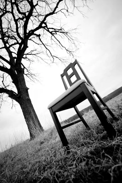 Ağacın altında monern siyah sandalye — Stok fotoğraf