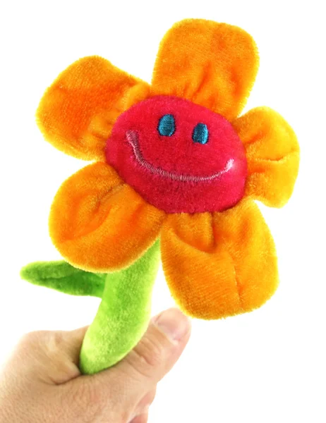 Sonnenblume in der Hand — Stockfoto