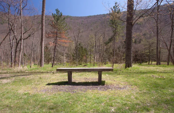 Bench Of Tranquility — Stock Photo, Image