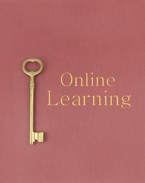 Çevrimiçi öğrenme için anahtar — Stok fotoğraf