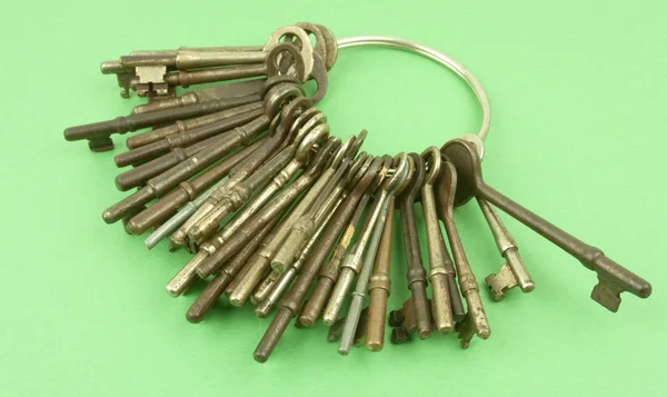 Green Background With Ring Of Keys — Stock Photo, Image