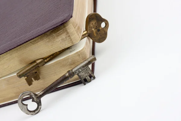 Nycklar inuti läder bok — Stockfoto