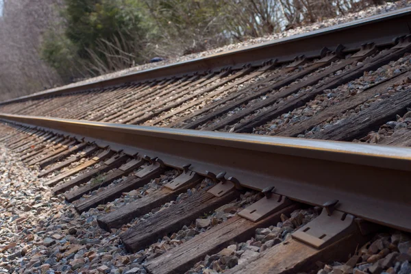 stock image Railroad Tracks By The Woods