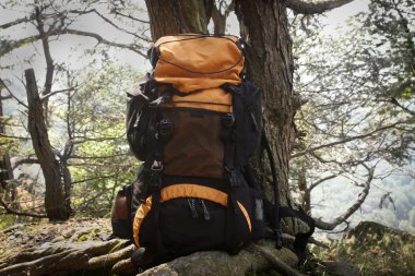 Backpacking In The Woods clipart