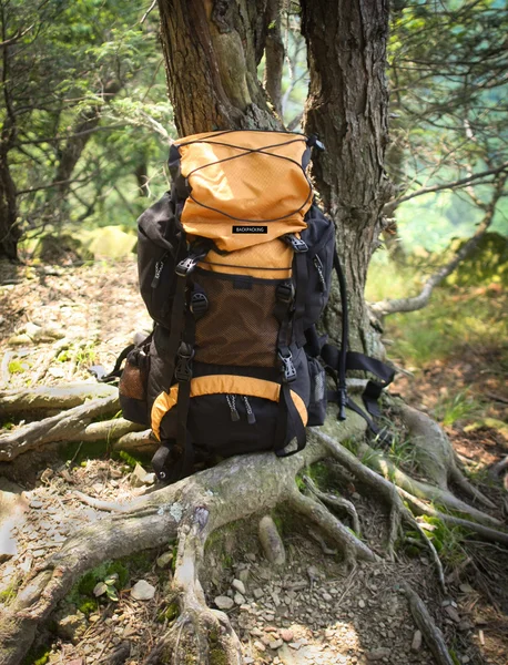 Sommar backpacking — Stockfoto
