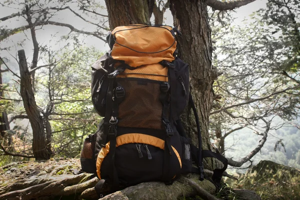 Backpacking w lesie — Zdjęcie stockowe